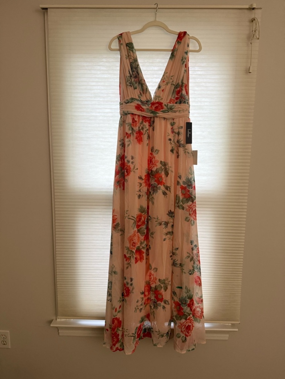 Lulu's Blush Floral V-Neck Maxi Dress with Red Rose Print Size Medium NWT